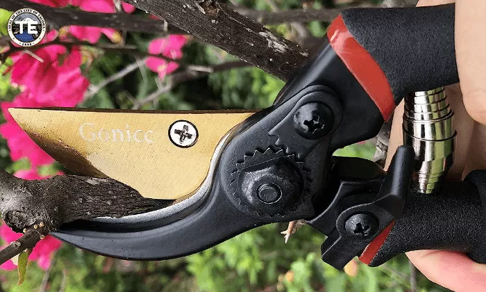 Bypass Shears and Mastering the Art of Precision Pruning