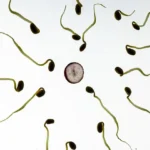 Decline in Sperm Motility Might Be Linked to Overlooked Impact of Vaccines