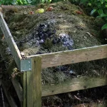 Composting Timeline from Scraps to Soil