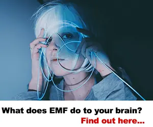 How does emf affect your brain?